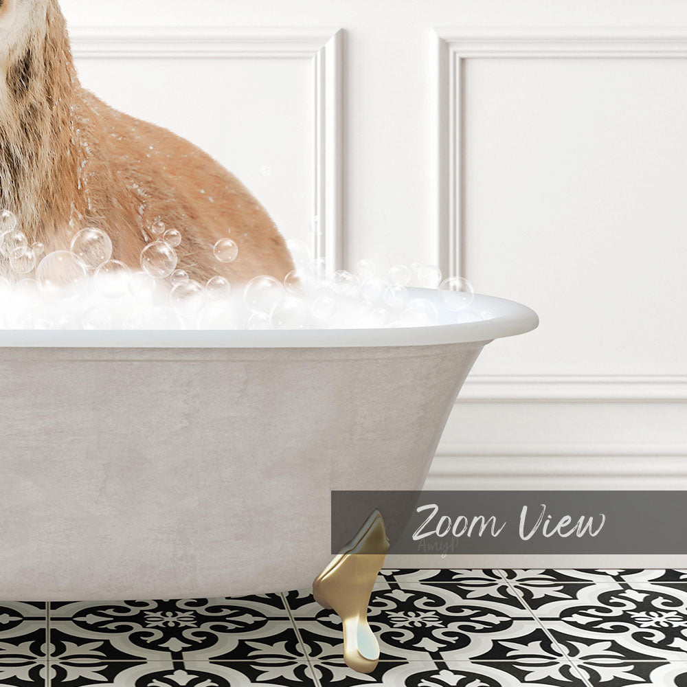 A cat sitting in a bathtub filled with bubbles, with a text overlay that reads "Zoom View".