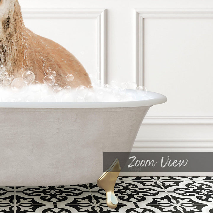 A cat sitting in a bathtub filled with bubbles, with a text overlay that reads "Zoom View".