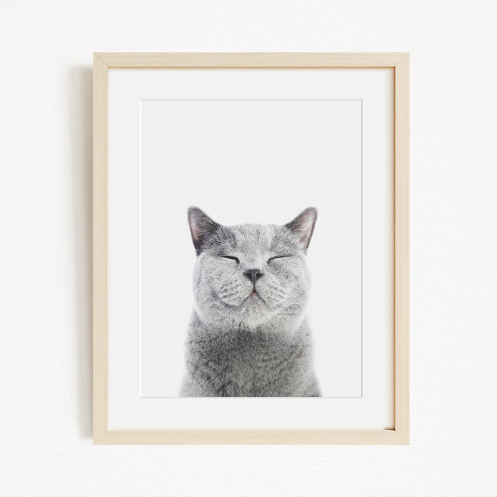 A framed photograph of a gray cat with its eyes closed, giving the impression of a content and relaxed expression.