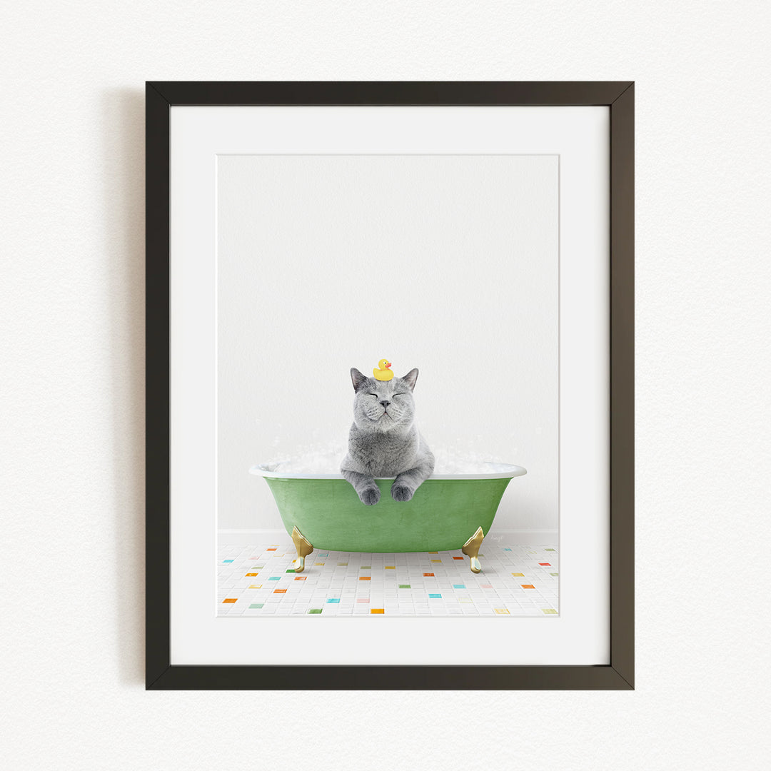 A gray cat sitting in a green bathtub, with a yellow rubber duck perched on its head.