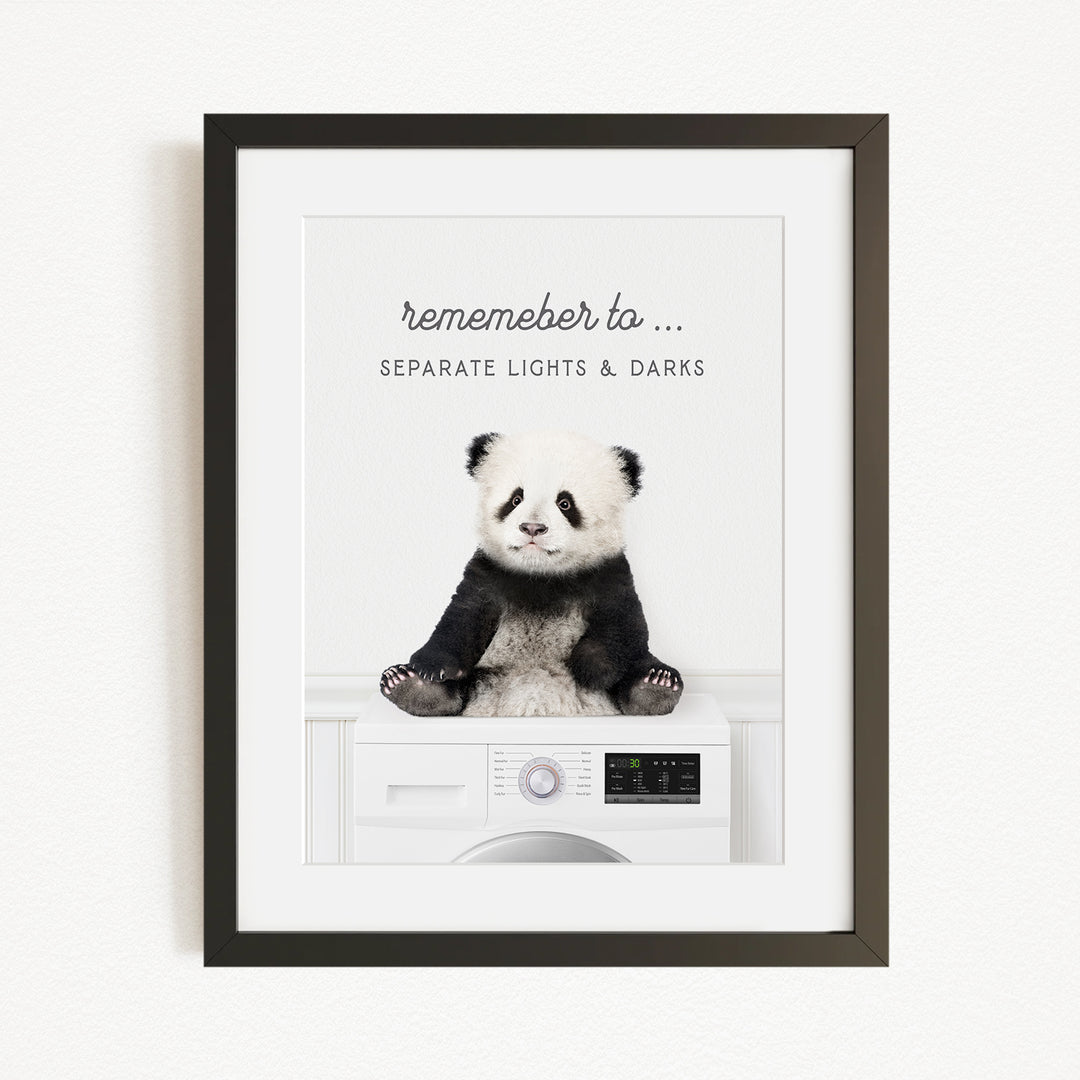 A panda bear sitting on a washing machine, with the text "Remember to..." above the washing machine.