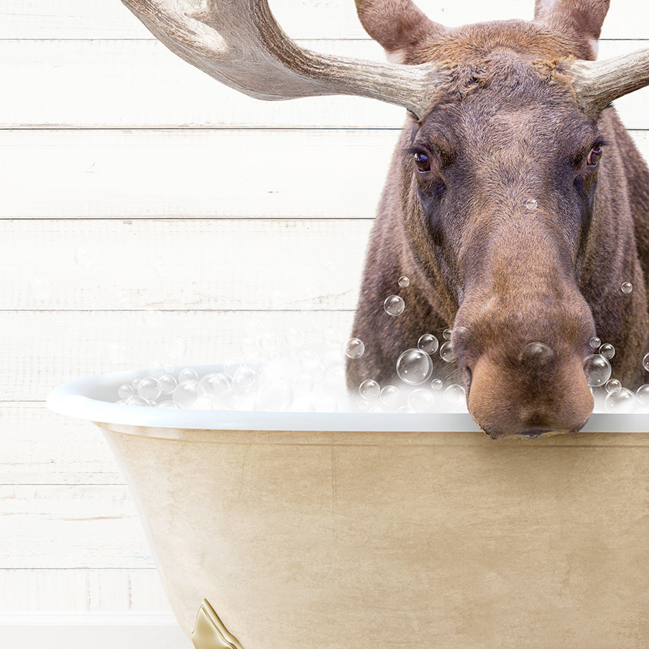 a moose is taking a bath in a bathtub