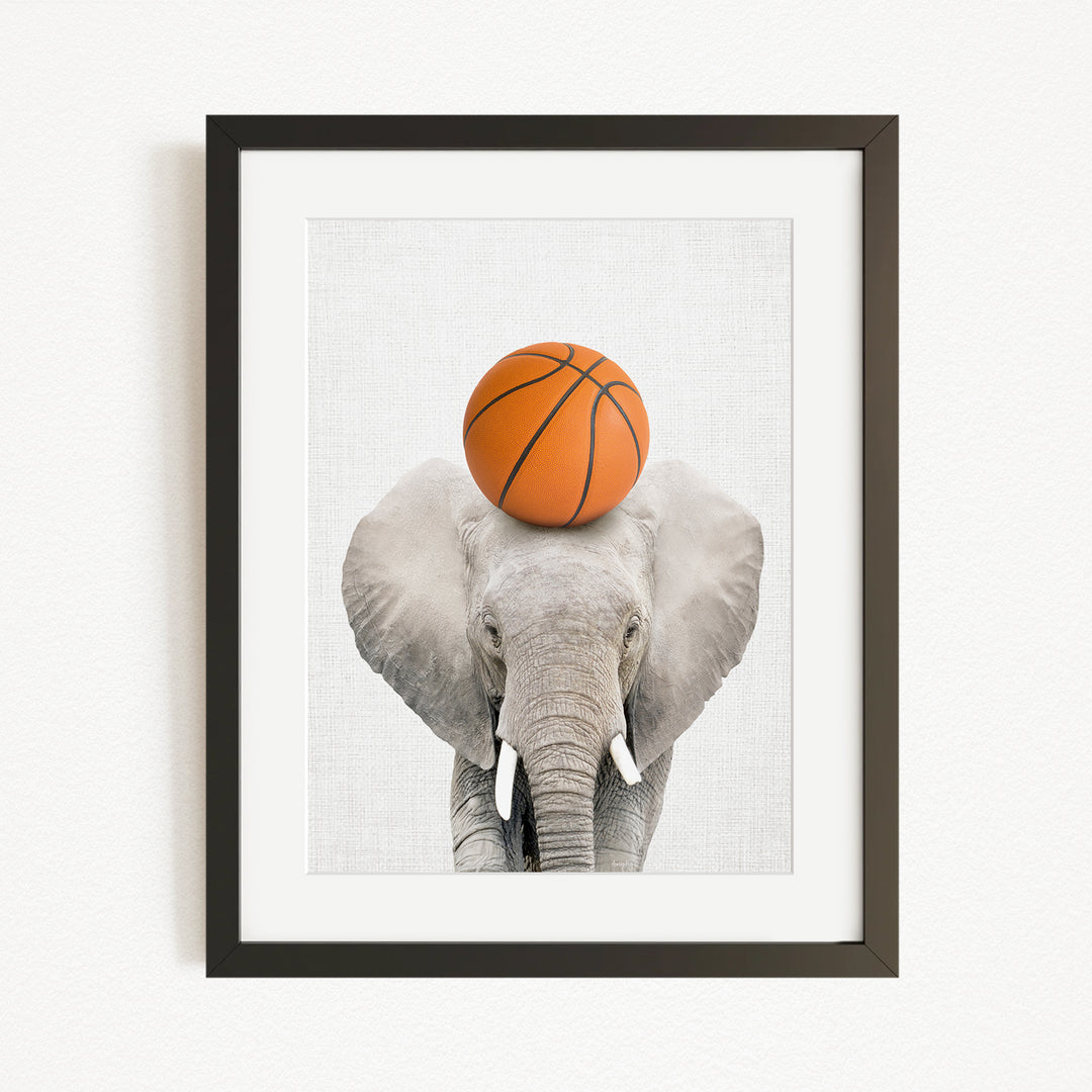 A gray elephant balances an orange basketball on its head.