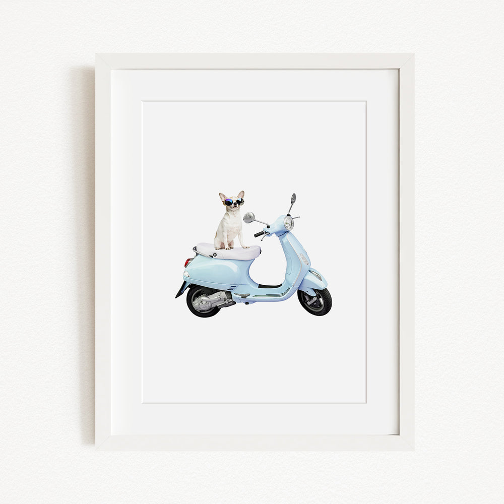 A small white dog wearing sunglasses is sitting on a light blue scooter.