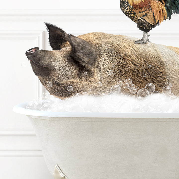 a pig in a bathtub with a chicken on top of it