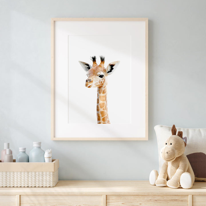 a picture of a baby giraffe in a frame
