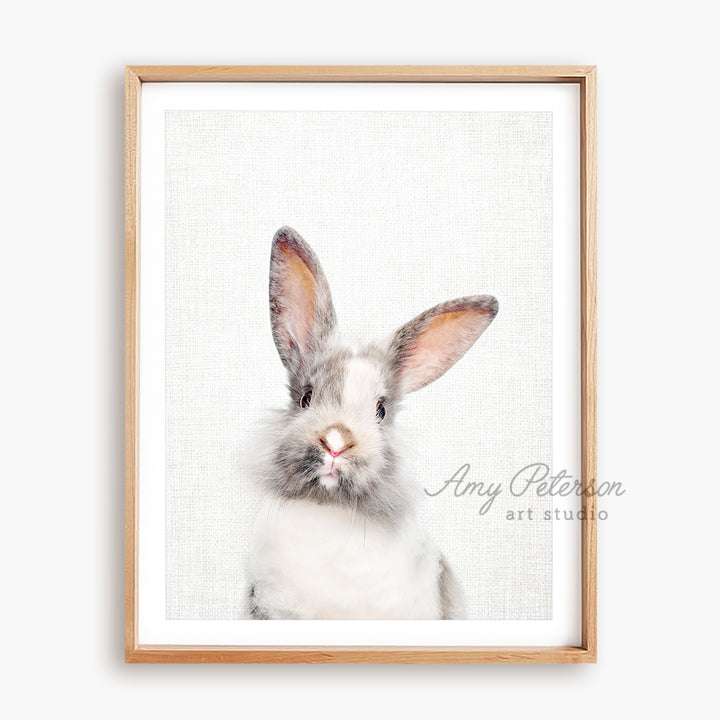 a framed picture of a rabbit with a white background