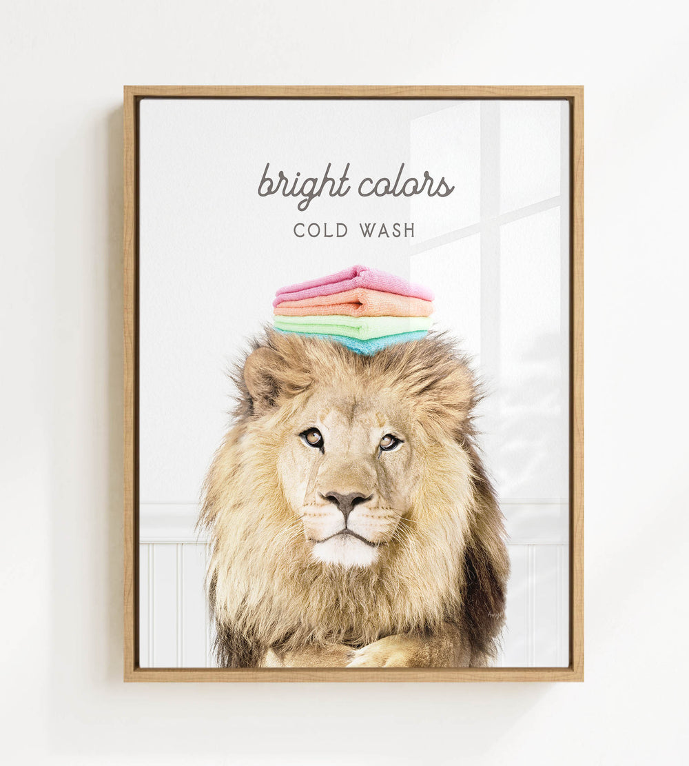 A framed image of a lion with a stack of colorful towels on its head, accompanied by the text "bright colors" and "COLD WASH".