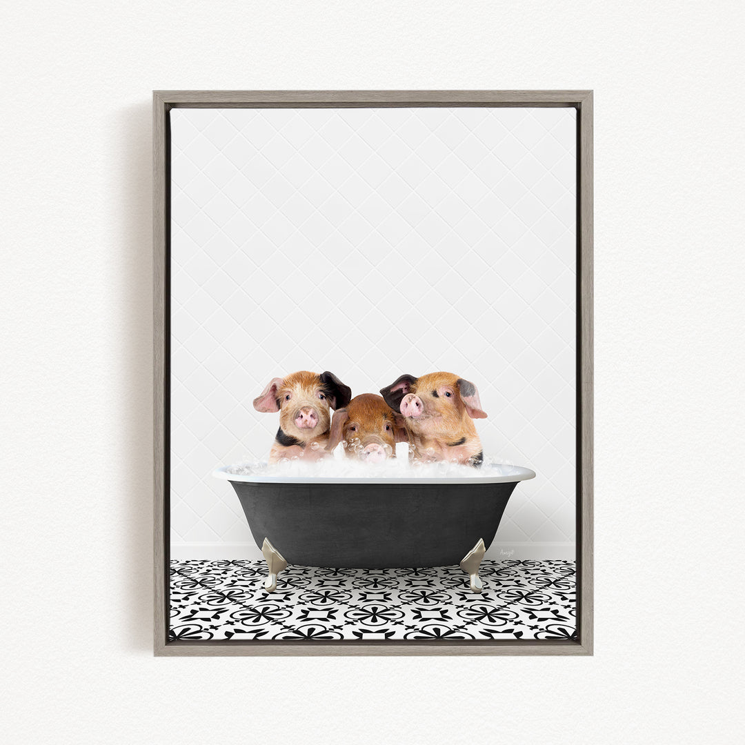 Three adorable pigs sitting in a black bathtub filled with water, creating a playful and whimsical scene.