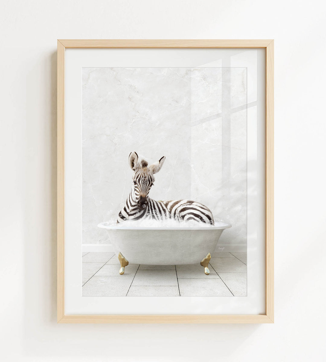 A zebra resting in a white bathtub against a white background.
