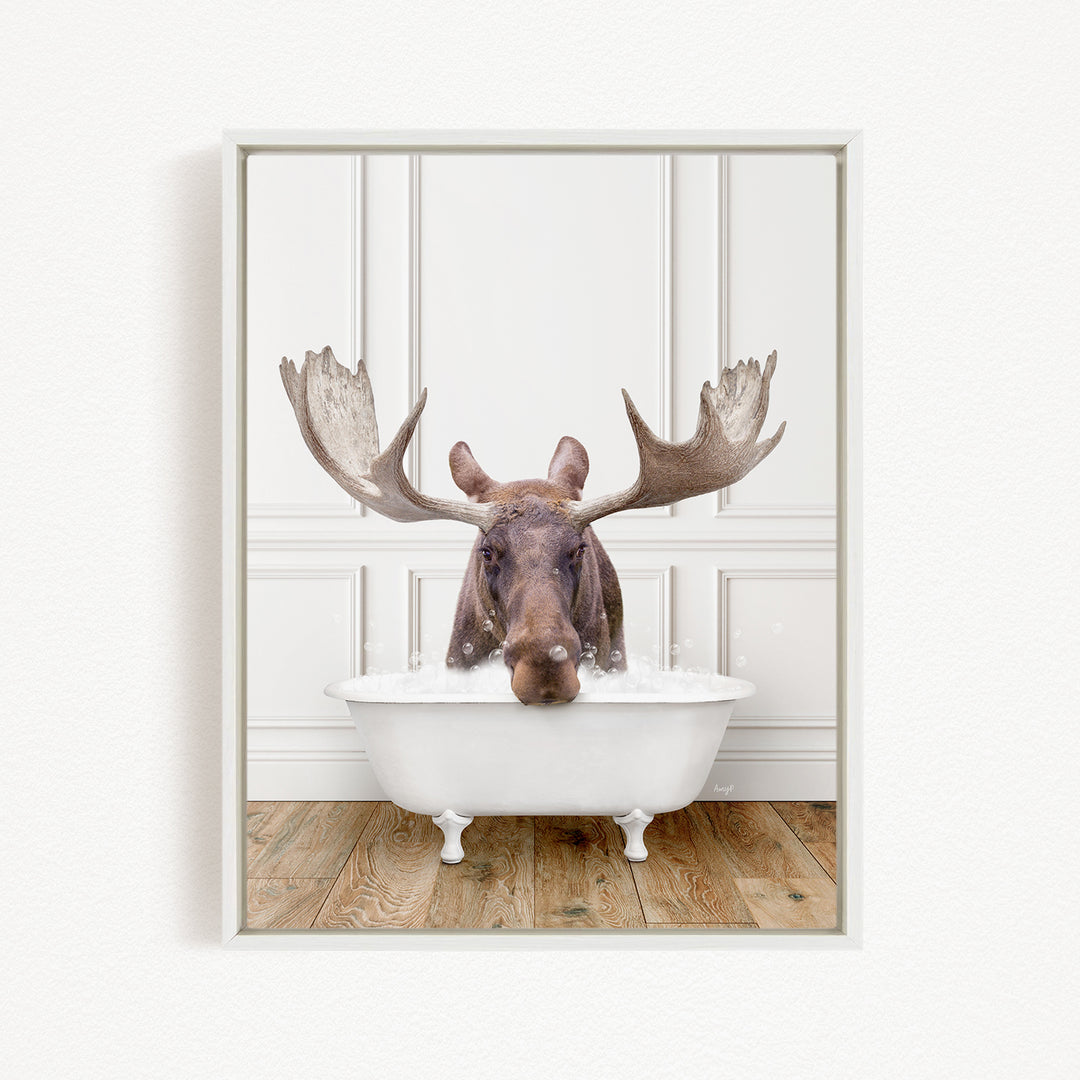A moose with large antlers is sitting in a white bathtub, appearing to enjoy the bath.