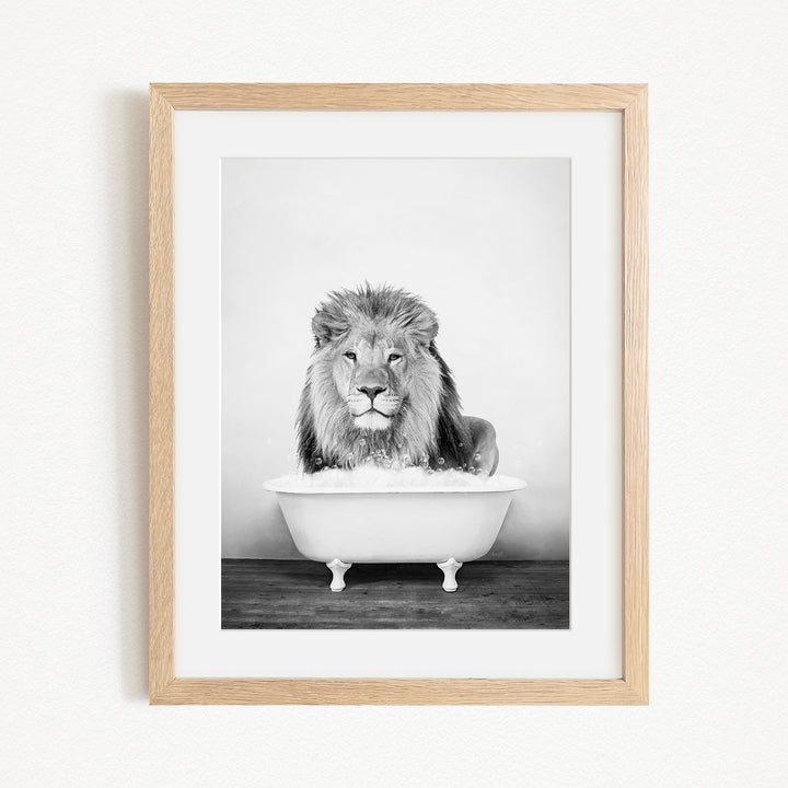 A black and white photograph of a lion sitting in a bathtub filled with water.