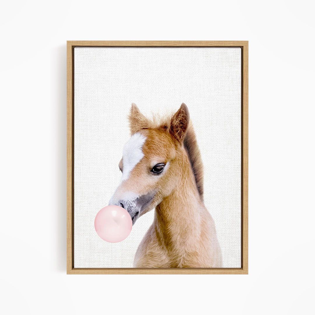 A young horse with a pink bubble gum bubble in its mouth, looking directly at the camera.