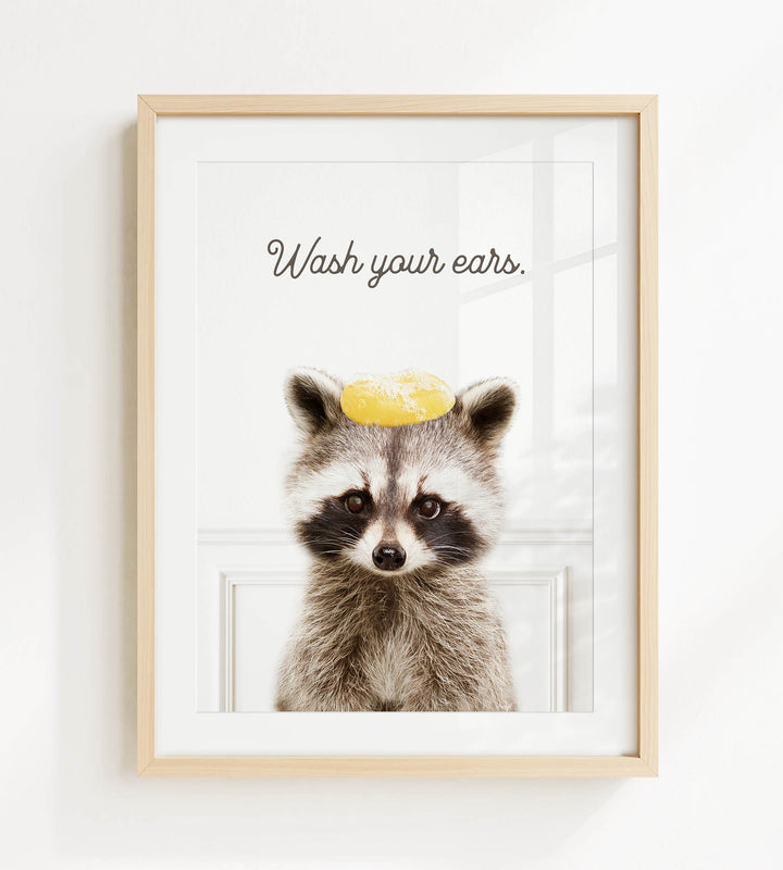 A raccoon wearing a yellow object on its head, with the text "Wash your ears" written above it.