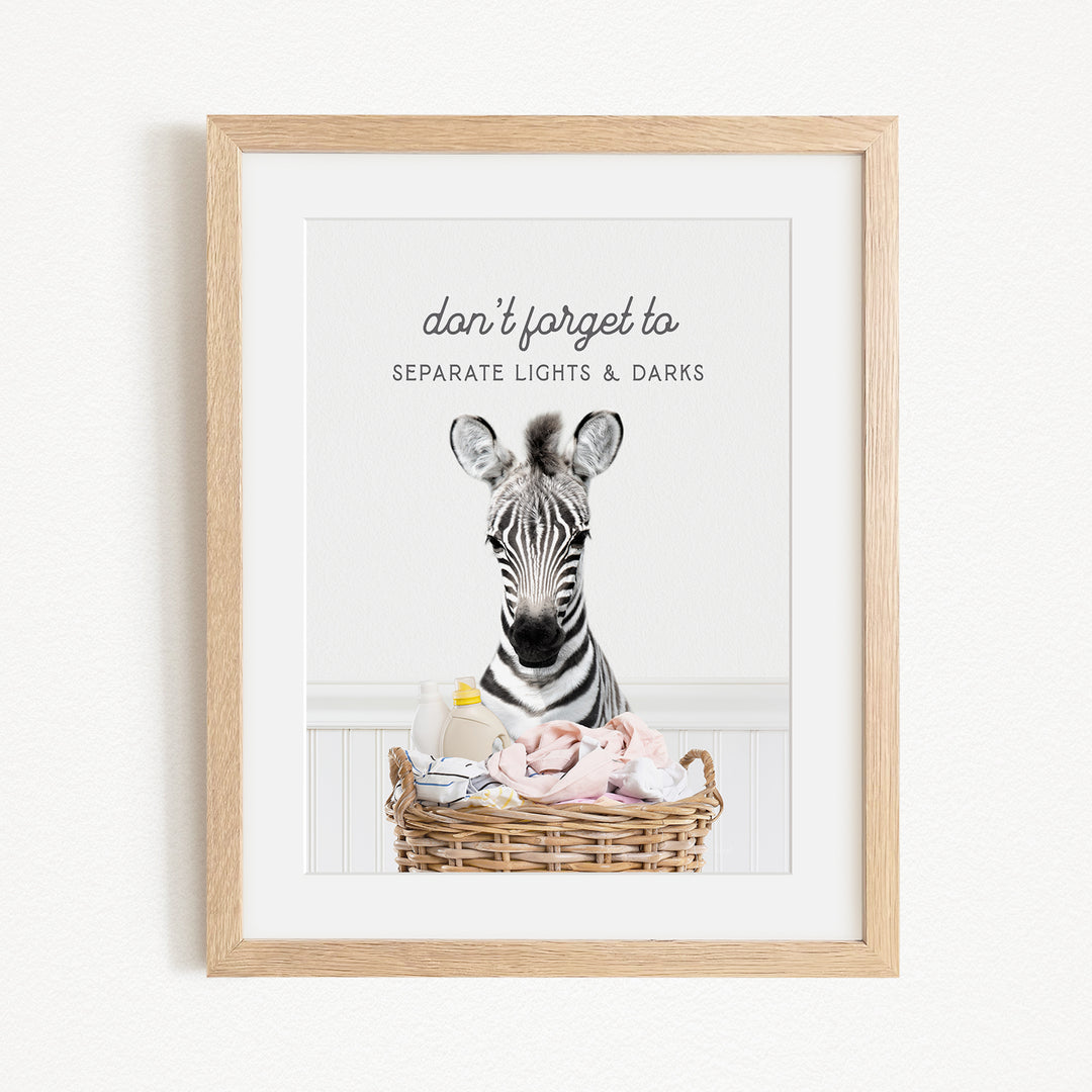 A framed print featuring a zebra standing in a basket filled with baby items, with the text "don't forget to separate lights & darks" written above the zebra.