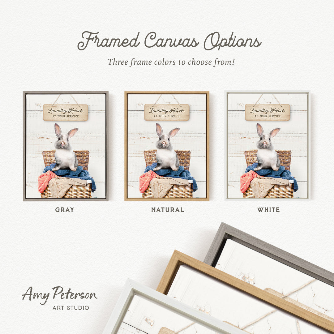 three framed canvas options, each featuring a different color and frame style. The options include a gray frame, a natural frame, and a white frame. The text above the options reads " Framed Canvas Options" and "Three frame colors to choose from!".
