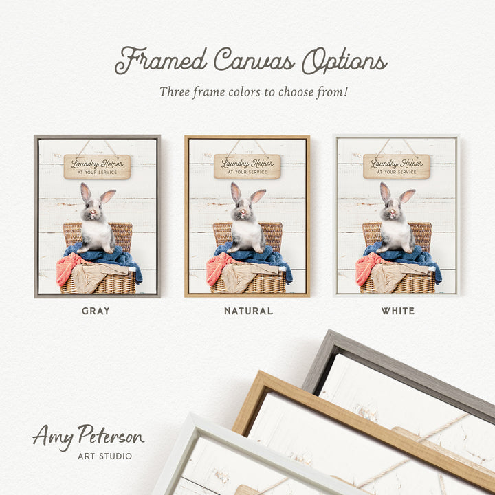 three framed canvas options, each featuring a different color and frame style. The options include a gray frame, a natural frame, and a white frame. The text above the options reads " Framed Canvas Options" and "Three frame colors to choose from!".