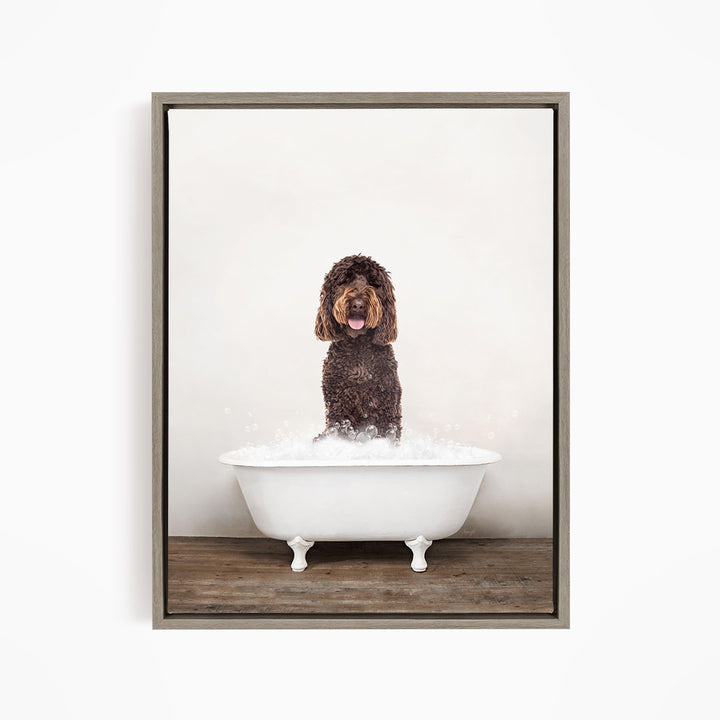 A brown curly-haired dog sitting in a white bathtub filled with water, with bubbles around it.