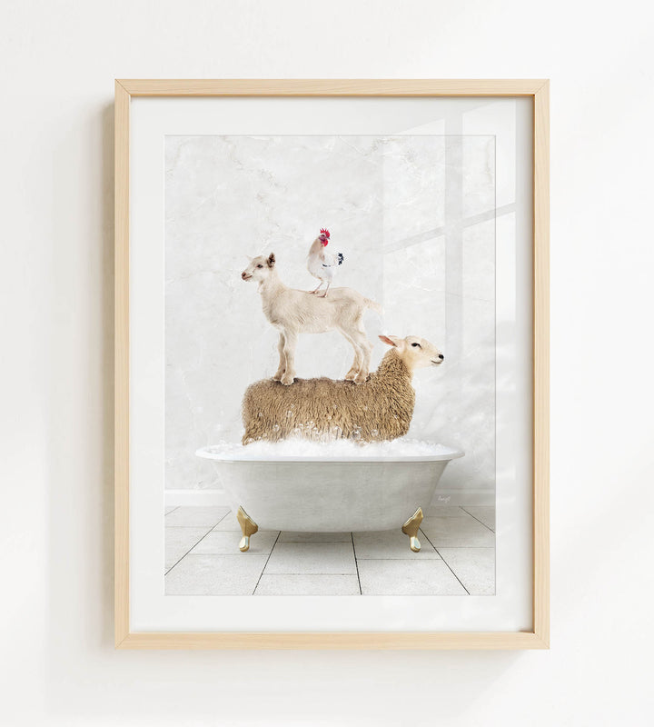 A framed image depicting a white goat standing on a sheep in a bathtub, with a rooster perched on top of the sheep.