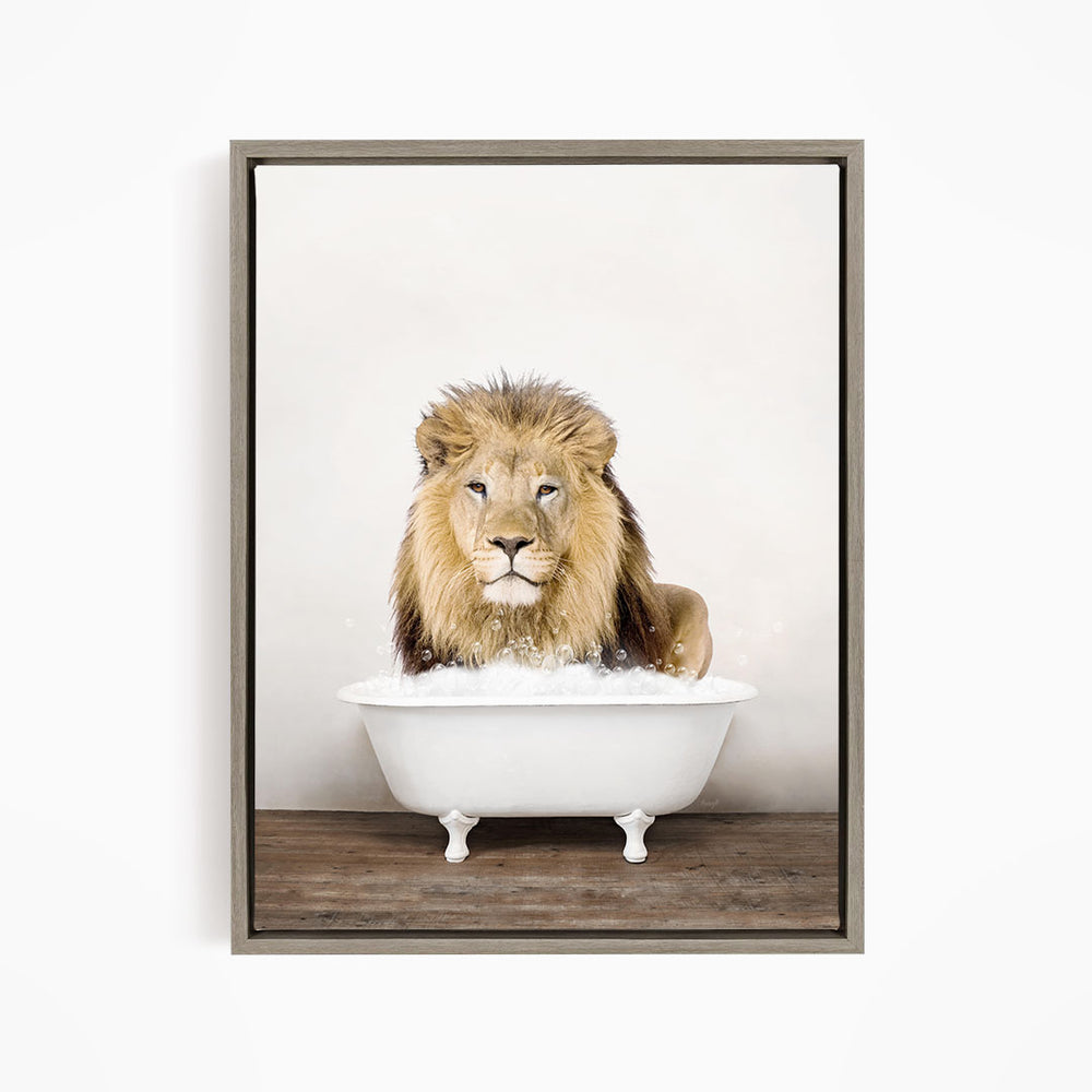 A lion sitting in a white bathtub filled with water, looking directly at the camera.