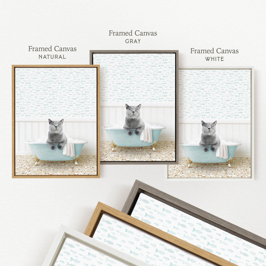 three framed pictures of a gray cat sitting in a bathtub, each with a different colored frame.