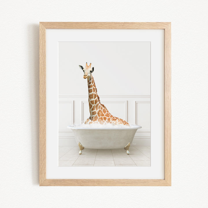 A giraffe sitting in a white bathtub, with its head raised and neck stretched upwards.