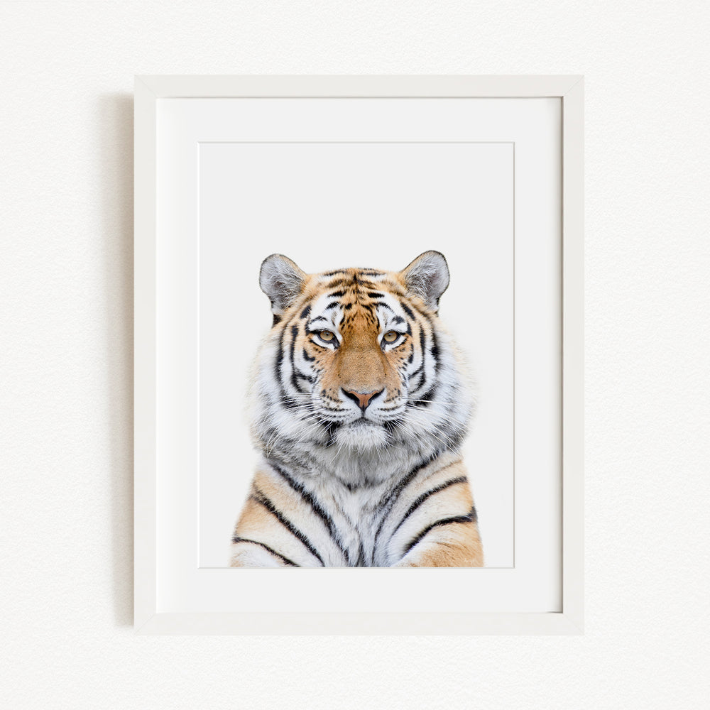 A framed photograph of a tiger's face, with its distinctive striped pattern and intense gaze.