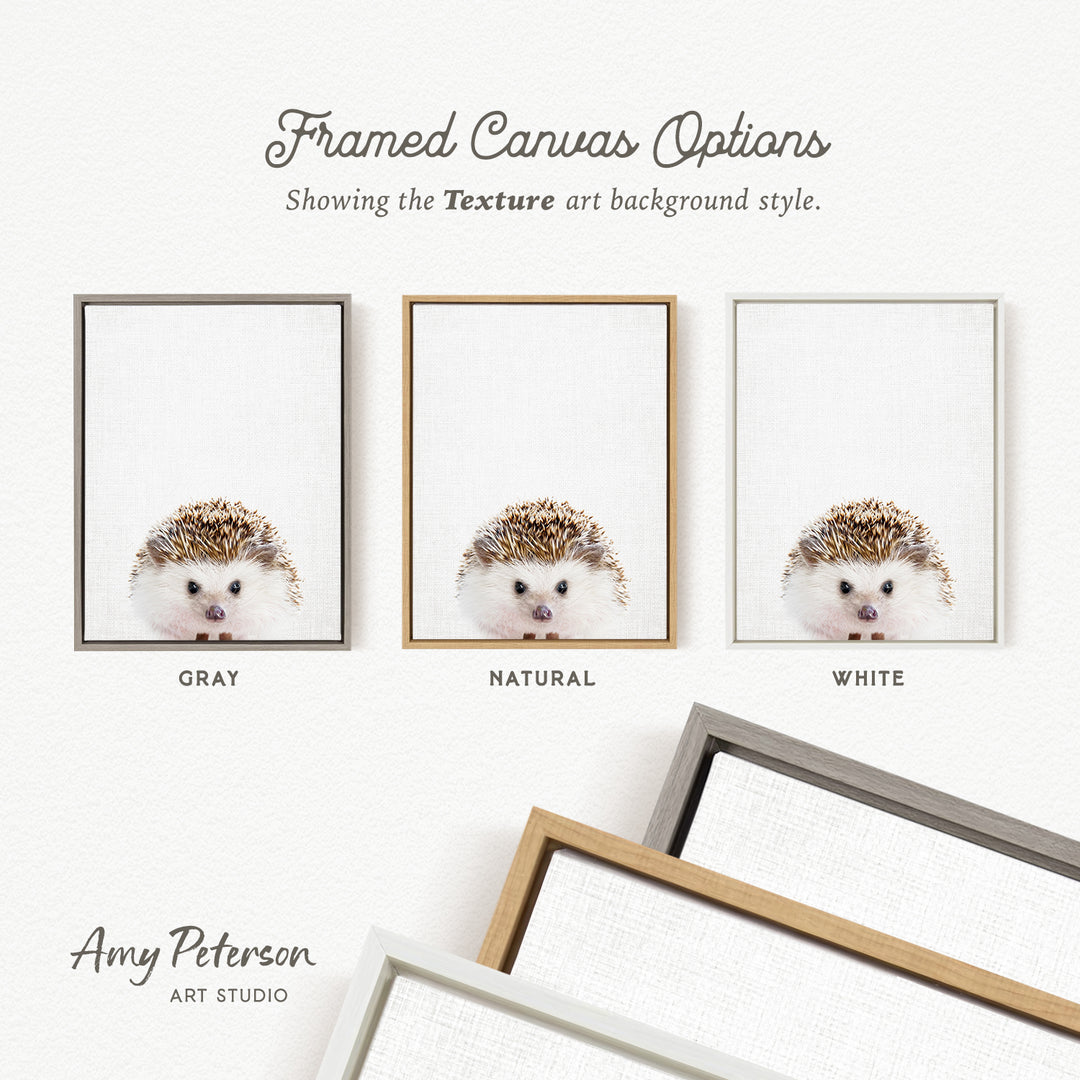 three framed canvas options, each with a different background color: gray, natural, and white. The text above the options reads " Framed Canvas Options" and "Showing the Texture art background style." The text below the options reads "Grays," "NATURAL," and "WHITE." The artist's name, Amy Peterson, is also mentioned at the bottom of the image.