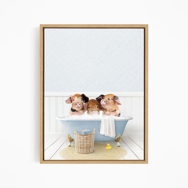 Three adorable pigs sitting in a blue bathtub, enjoying a relaxing bath together.