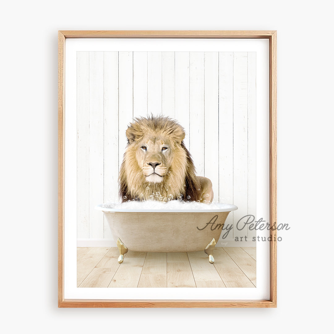 a picture of a lion sitting in a bathtub