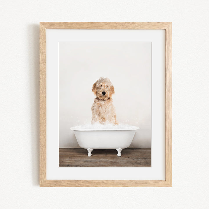 A fluffy dog sitting in a white bathtub filled with bubbles, looking directly at the camera with a playful expression.