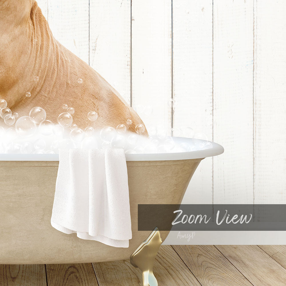 A dog is sitting in a bathtub filled with bubbles, with a towel draped over the side.