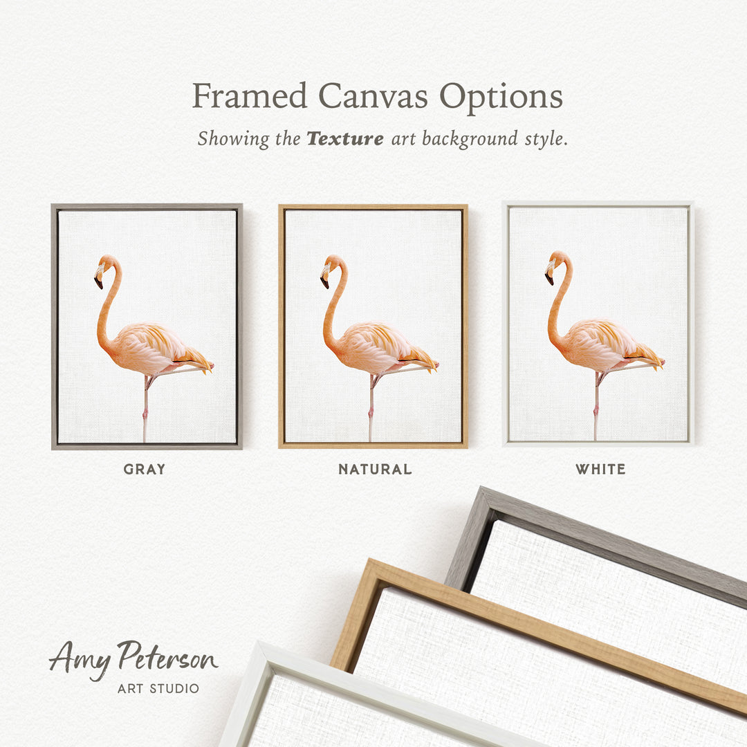 three framed canvas options, each featuring a different color and style of frame. The text above the images reads " Framed Canvas Options" and "Showing the Texture art background style." The text below the images reads "Grays," "NATURAL," and "WHITE." The artist's name, " Amy Peterson," is also present.