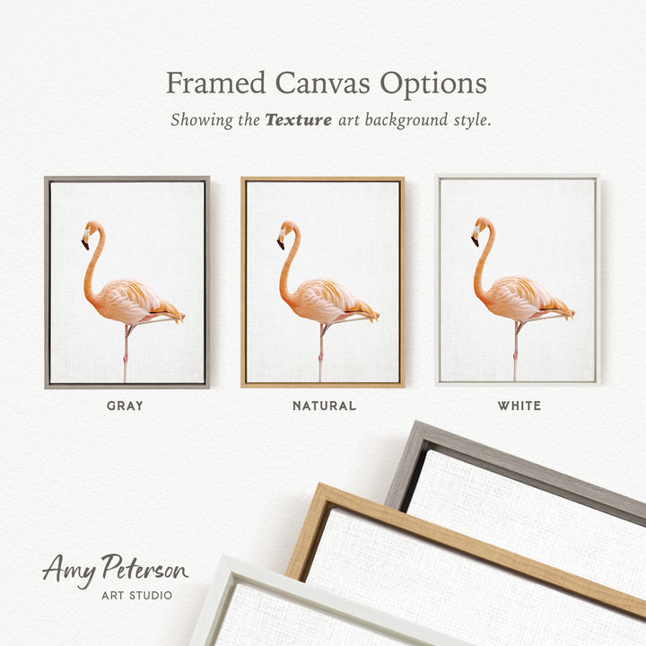 three framed canvas options, each featuring a different color and style of frame. The text above the images reads " Framed Canvas Options" and "Showing the Texture art background style." The text below the images reads "Grays," "NATURAL," and "WHITE." The artist's name, " Amy Peterson," is also present.