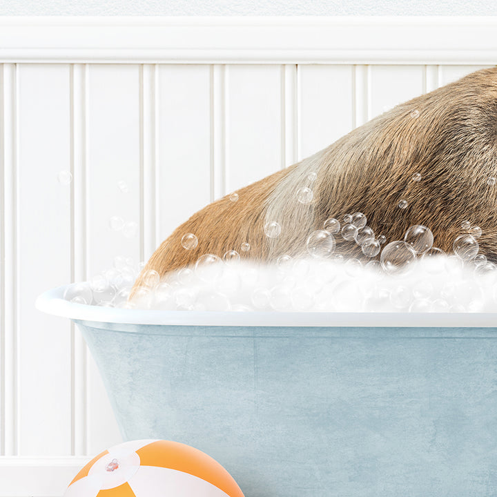 a dog taking a bath in a blue bathtub