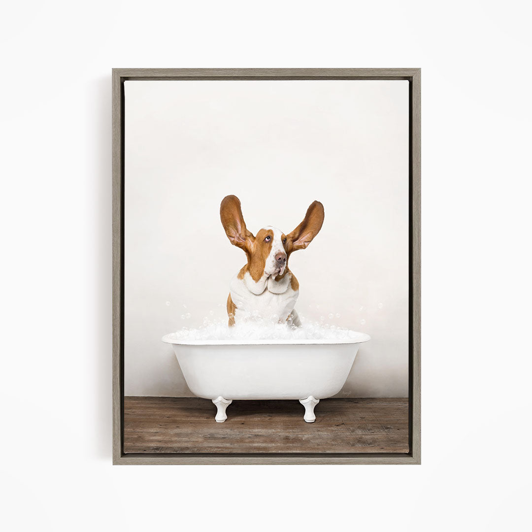 A brown and white dog sitting in a white bathtub filled with water, with its ears perked up and looking directly at the camera.