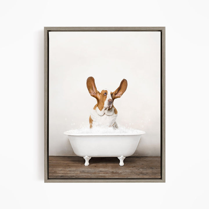 A brown and white dog sitting in a white bathtub filled with water, with its ears perked up and looking directly at the camera.
