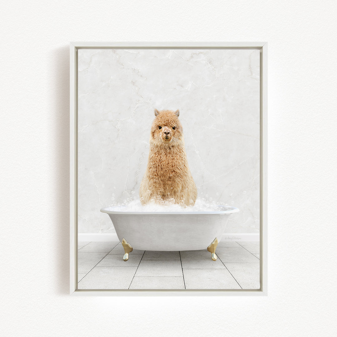 A fluffy brown dog sitting in a white bathtub filled with bubbles, looking directly at the camera.