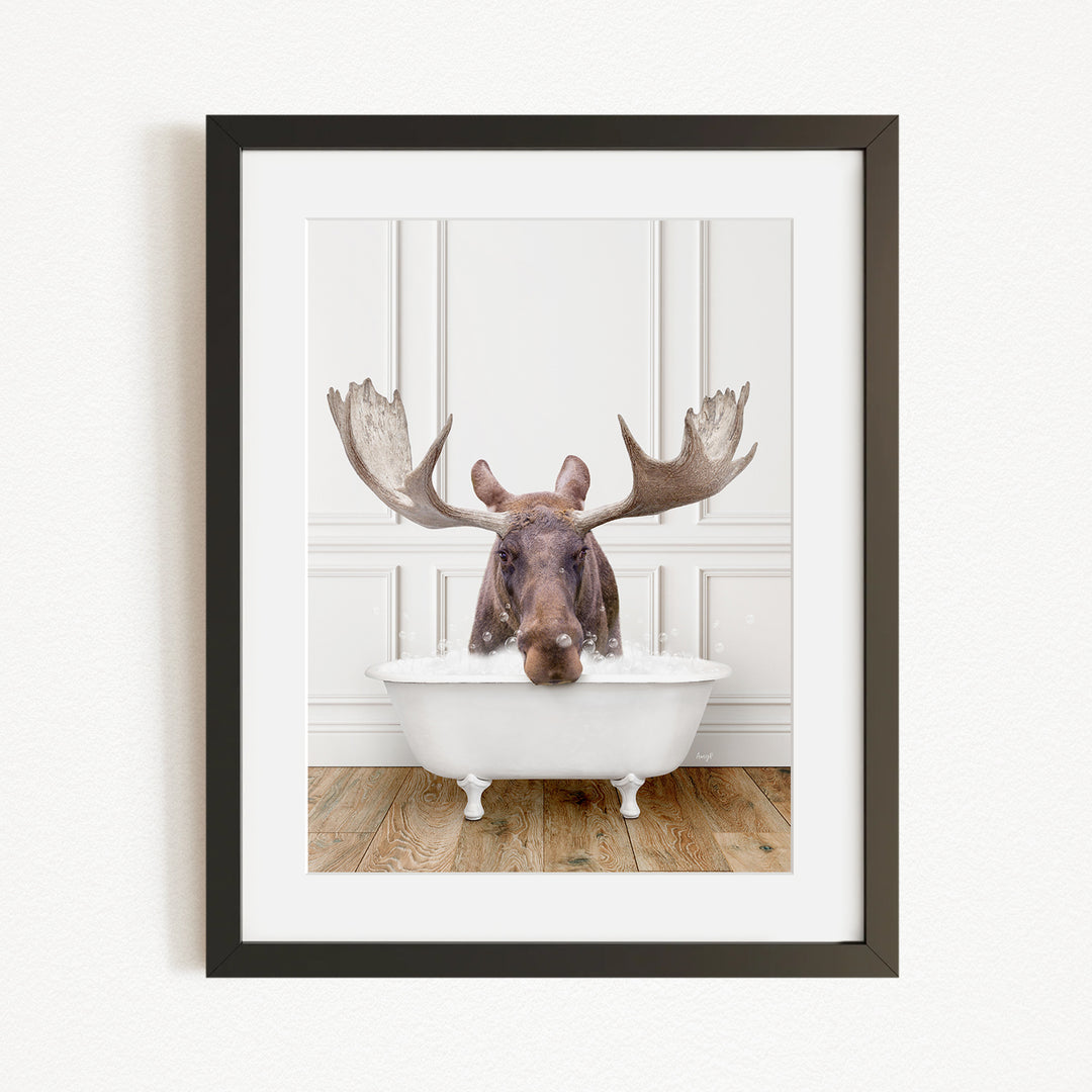 A moose with large antlers is sitting in a white bathtub, with its head submerged in the water.