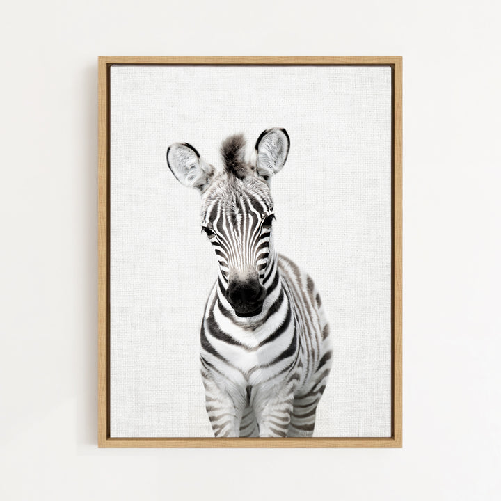 A black and white photograph of a zebra standing against a plain background.