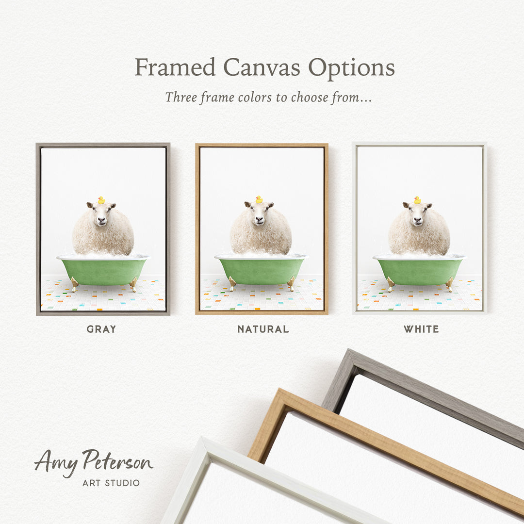 three framed canvas options featuring a sheep in a bathtub, with three different frame colors to choose from: gray, natural, and white.
