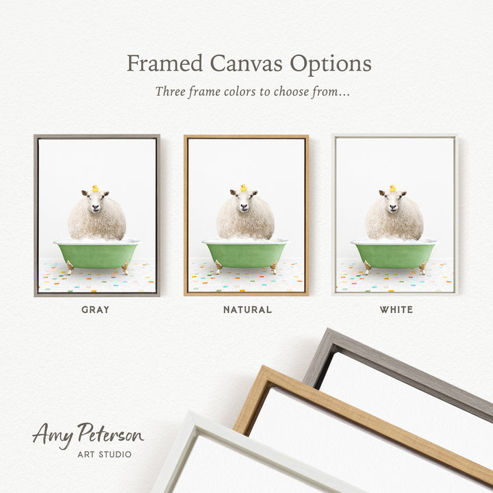 three framed canvas options featuring a sheep in a bathtub, with three different frame colors to choose from: gray, natural, and white.