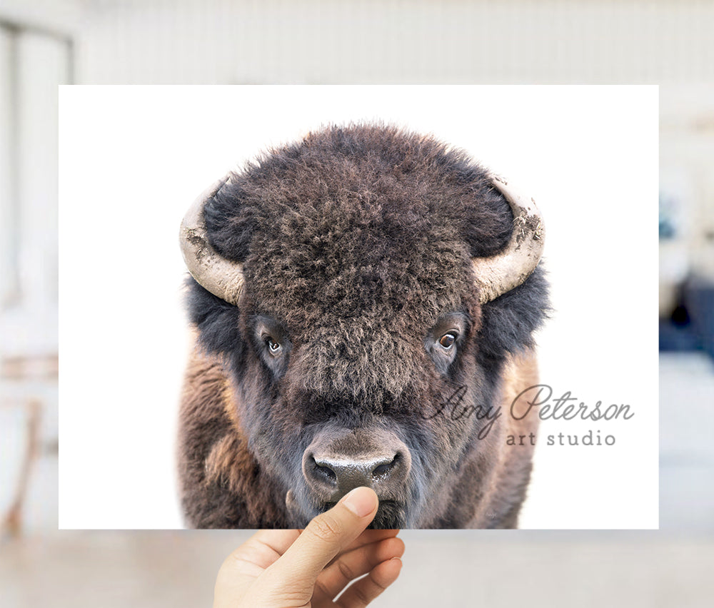 a hand holding up a picture of a bison