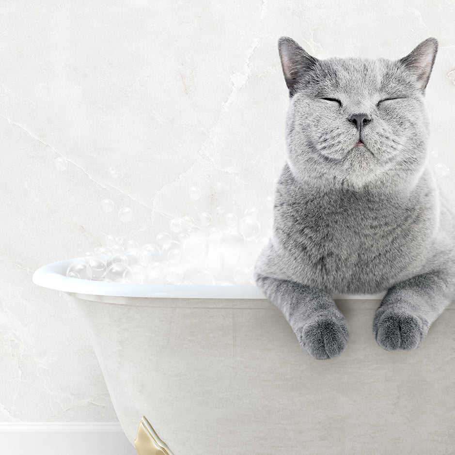 a gray cat laying in a bathtub with its eyes closed