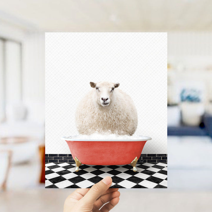 A hand holds up a framed image of a fluffy white sheep sitting in a red bathtub on a black and white checkered floor.