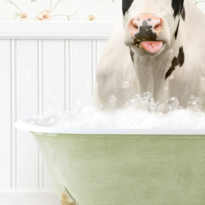 a cow sticking its head out of a bathtub filled with bubbles