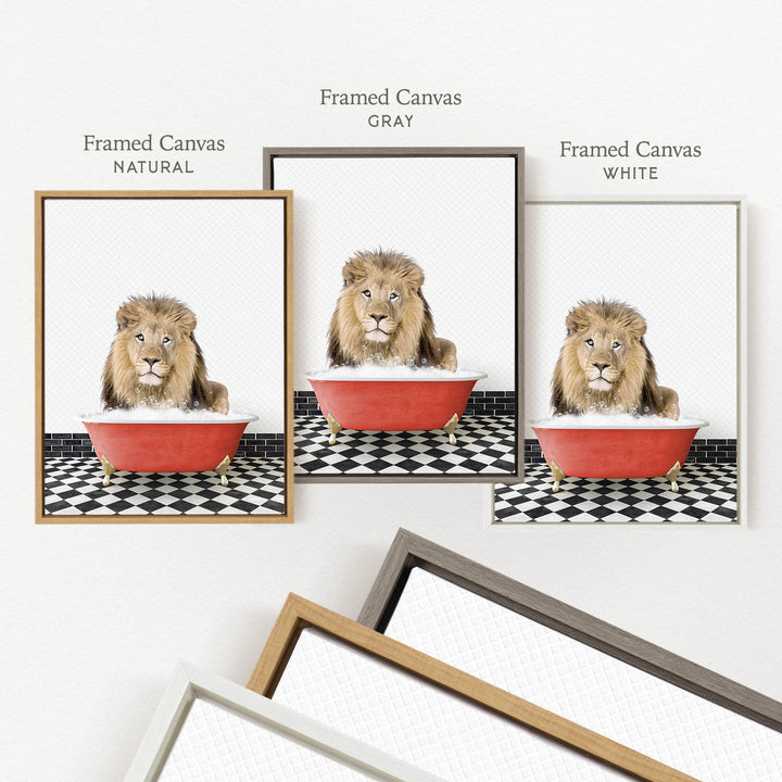 a framed picture of a lion sitting in a red bathtub, with three different colored frames displayed below the picture.