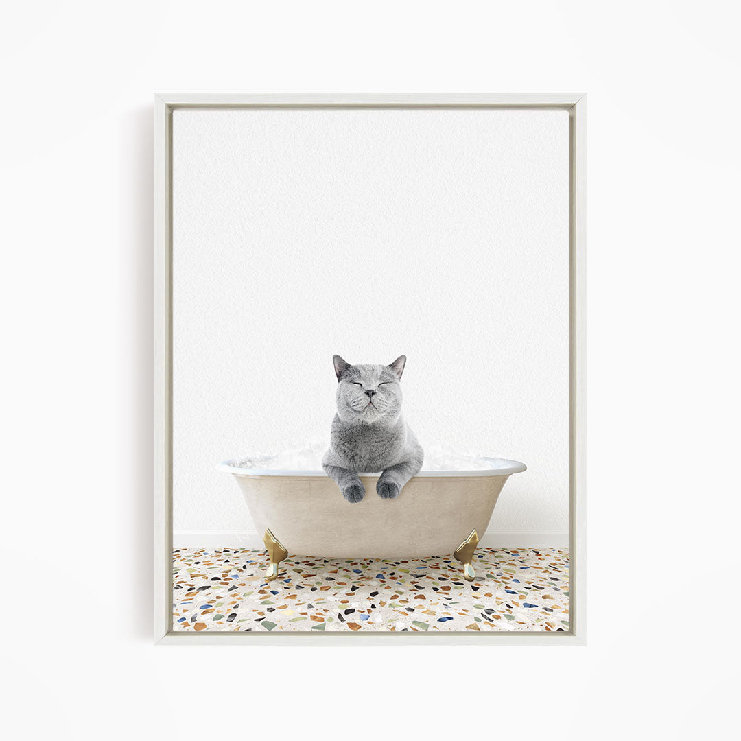 A gray cat sitting in a white bathtub filled with bubbles, looking directly at the camera.