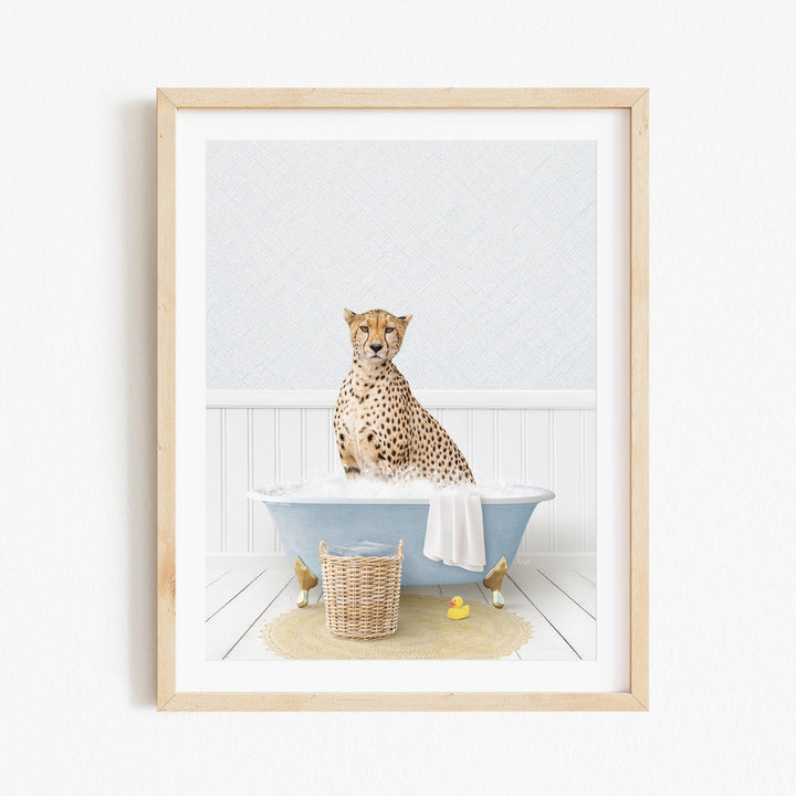 A cheetah sitting in a blue bathtub filled with water, surrounded by rubber ducks.