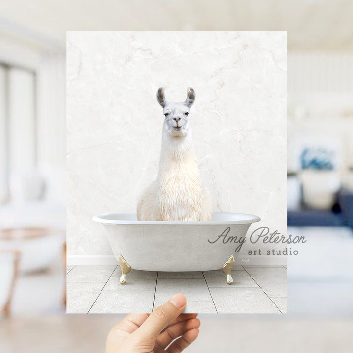 a llama sitting in a bathtub in a room